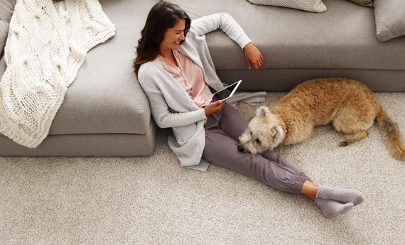 pet friendly flooring | The Carpet Stop