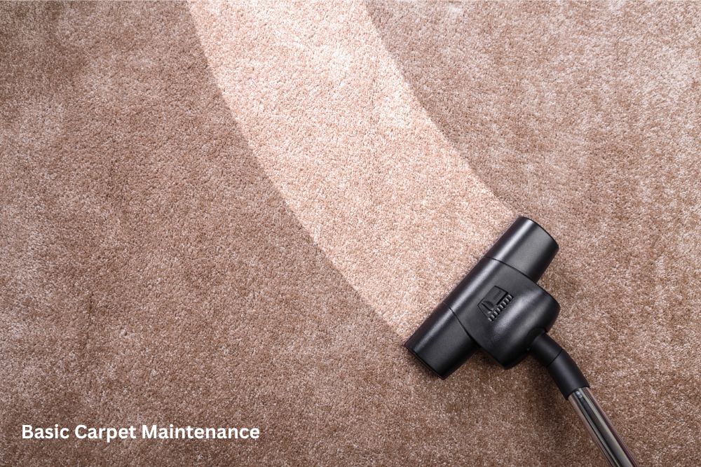 Carpet floor cleaning | The Carpet Stop