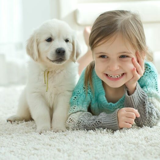 Kid with puppy on Carpet | The Carpet Stop